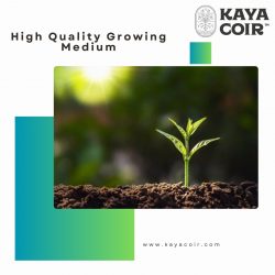 High Quality Growing Medium
