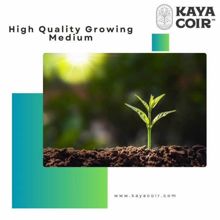 High Quality Growing Medium