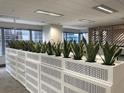 Reliable Corporate Plant Hire Melbourne Provider