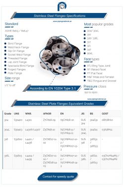 SS Flanges Suppliers | Industrial Stainless Steel Flanges