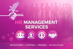 Best HR Consulting & Staffing Company in India | End-to-End HR Solutions