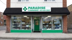 Paradise Cannabis – Premier Cannabis Store in St. Catharines