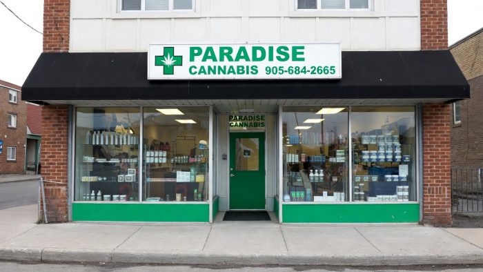 Paradise Cannabis – Premier Cannabis Store in St. Catharines