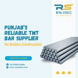 Punjab’s Reliable TMT Bar Supplier | Riya Steels