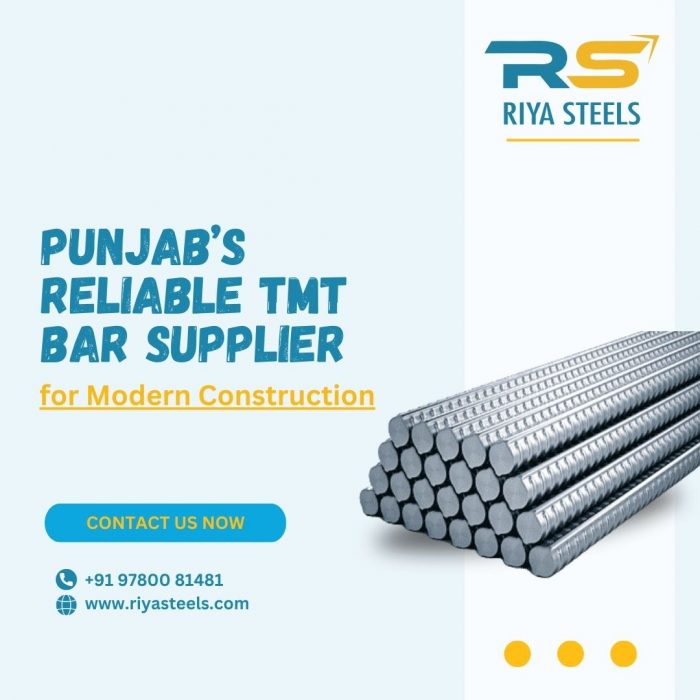 Punjab’s Reliable TMT Bar Supplier | Riya Steels