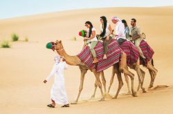 Arabian Wonders: Book Your Unforgettable Safari in Qatar