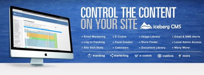 Iceberg CMS Leading SaaS & Software Development Services