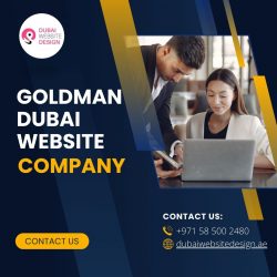 Professional Website Design Dubai for Business Growth