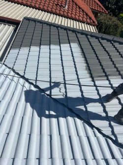 Roof cleaning sa