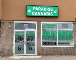 Cannabis Store Pembroke At Paradise Cannabis
