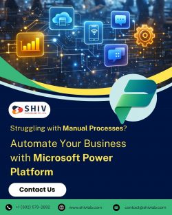 Custom Microsoft Power Platform Consulting Services by Shiv Technolabs