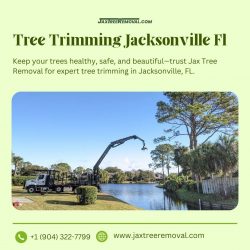 Tree Trimming Jacksonville Fl