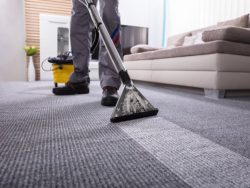 Stellar Cleaning – A Trusted Local Provider for Carpet Cleaning Services in Calgary