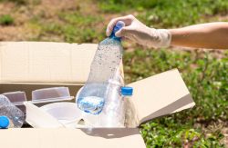 Pet Bottle Flakes: Transforming Waste into Valuable Resources