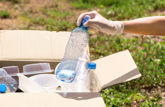 Pet Bottle Flakes: Transforming Waste into Valuable Resources