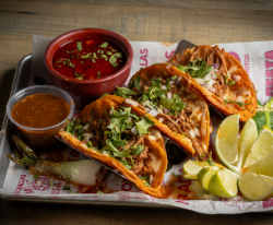 Authentic Mexican Restaurant & Catering in St. Paul