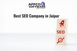 Professional SEO Company in Jaipur | Appco Software