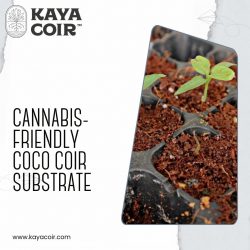 Cannabis-Friendly Coco Coir Substrate