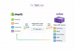 Trusted Shopify Odoo Integration Company | CartCoders