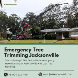 Emergency Tree Trimming Jacksonville