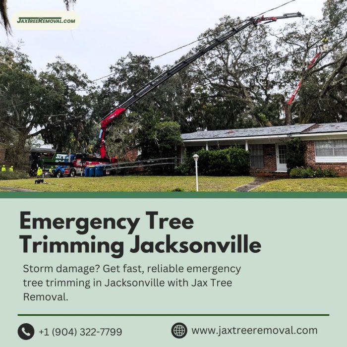 Emergency Tree Trimming Jacksonville
