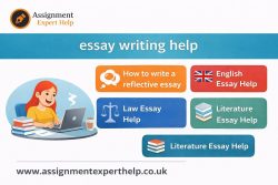 Trusted Essay Writing Help for University Students