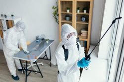 Reliable Pest Control Services Dublin