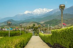 Best Resort in Bir Billing with Northwind
