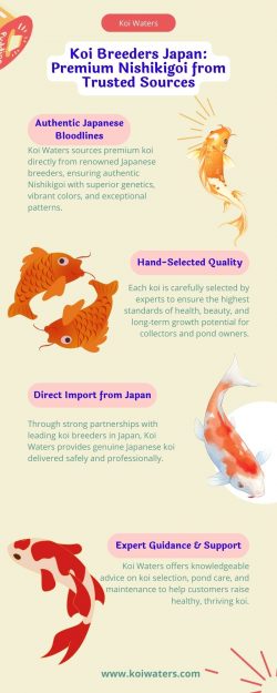 Koi Breeders Japan: Premium Nishikigoi from Trusted Sources
