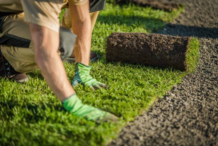 Landscaping Services Sydney for Modern Outdoor Spaces