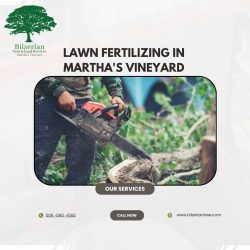 Lawn Fertilizing In Martha’s Vineyard