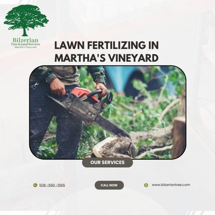 Lawn Fertilizing In Martha’s Vineyard