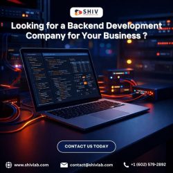 Professional Backend Development Company | Shiv Technolabs