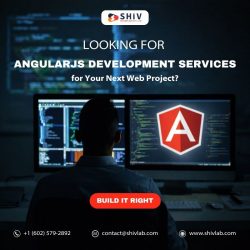 Angular Development Services for Scalable Web Apps