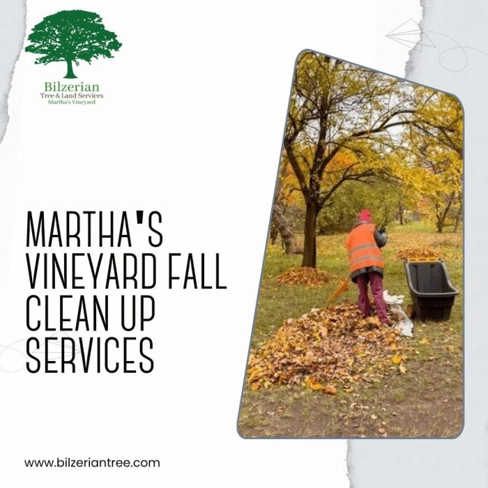 Martha’s Vineyard Fall Clean Up Services