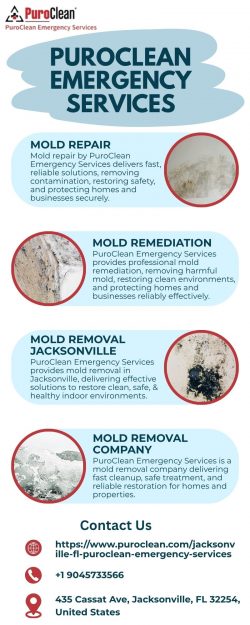 Mold Remediation Services by PuroClean Experts