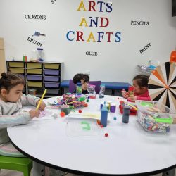 NDIS Occupational Therapy Sydney | Functional Support Services