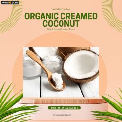 Organic Creamed Coconut for Food Makers