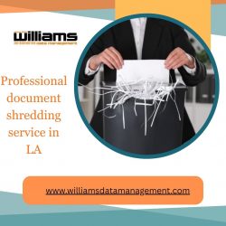Professional document shredding service in LA