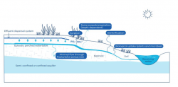 About Land Capability Assessments: A Complete Guide for Property Owners and Developers