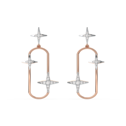 Buy Rose Gold Vermeil Earrings Online in India – Lukson