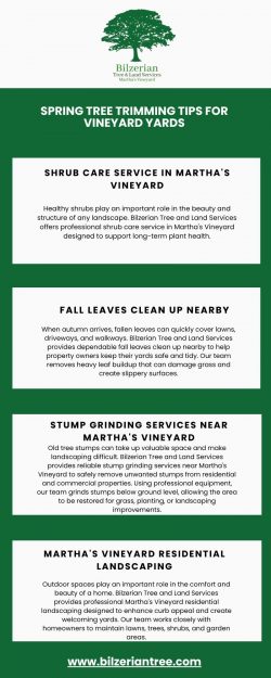 Spring Tree Trimming Tips For Vineyard Yards