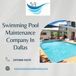 Swimming Pool Maintenance Company In Dallas