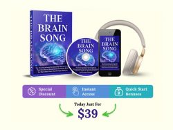 The Brain Song Audio
