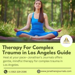 Therapy For Complex Trauma in Los Angeles Guide