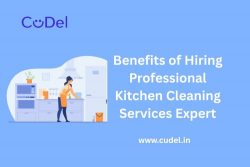 Benefits of Hiring a Professional Kitchen Cleaning Services Expert