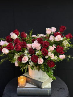 Velvet Romance