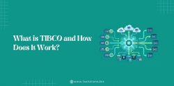 What is TIBCO and How Does It Work?