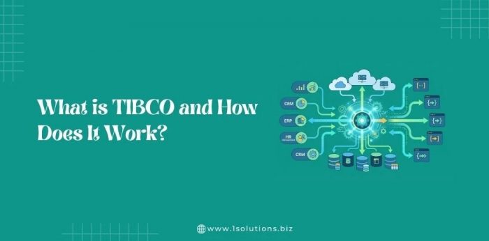 What is TIBCO and How Does It Work?