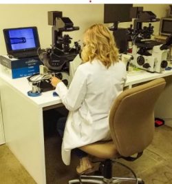 World Embryology Skills and Training Provides Comprehensive Embryology Course Details and Durati ...
